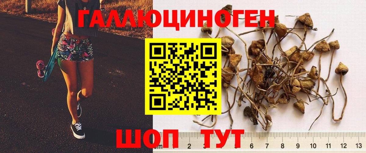 Псилоцибиновые грибы мухоморы Малгобек