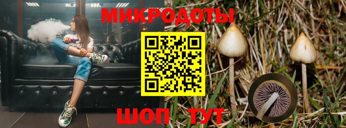 Галлюциногенные грибы мухоморы  Вход с VPN  Малгобек  Галлюциногенные грибы Psilocybe 